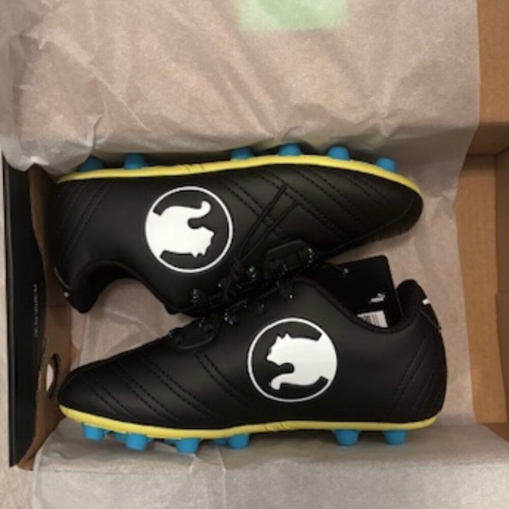 Puma ProCat Speed Force FG Little Kids' Soccer Cleats - 12